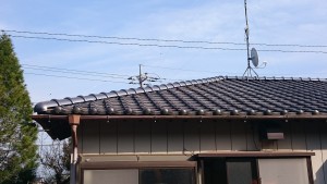 DSC_0048 (2)