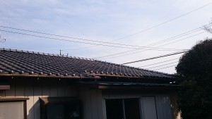 DSC_0050 (2)