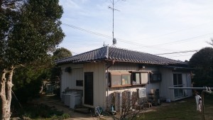 DSC_0052 (2)