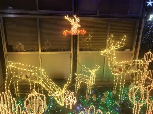 茨城県鉾田市のイルミネーション4